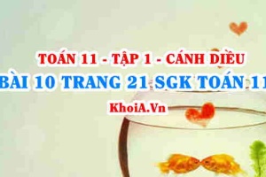 Bài 10 trang 21 SGK Toán 11 tập 1 Cánh Diều